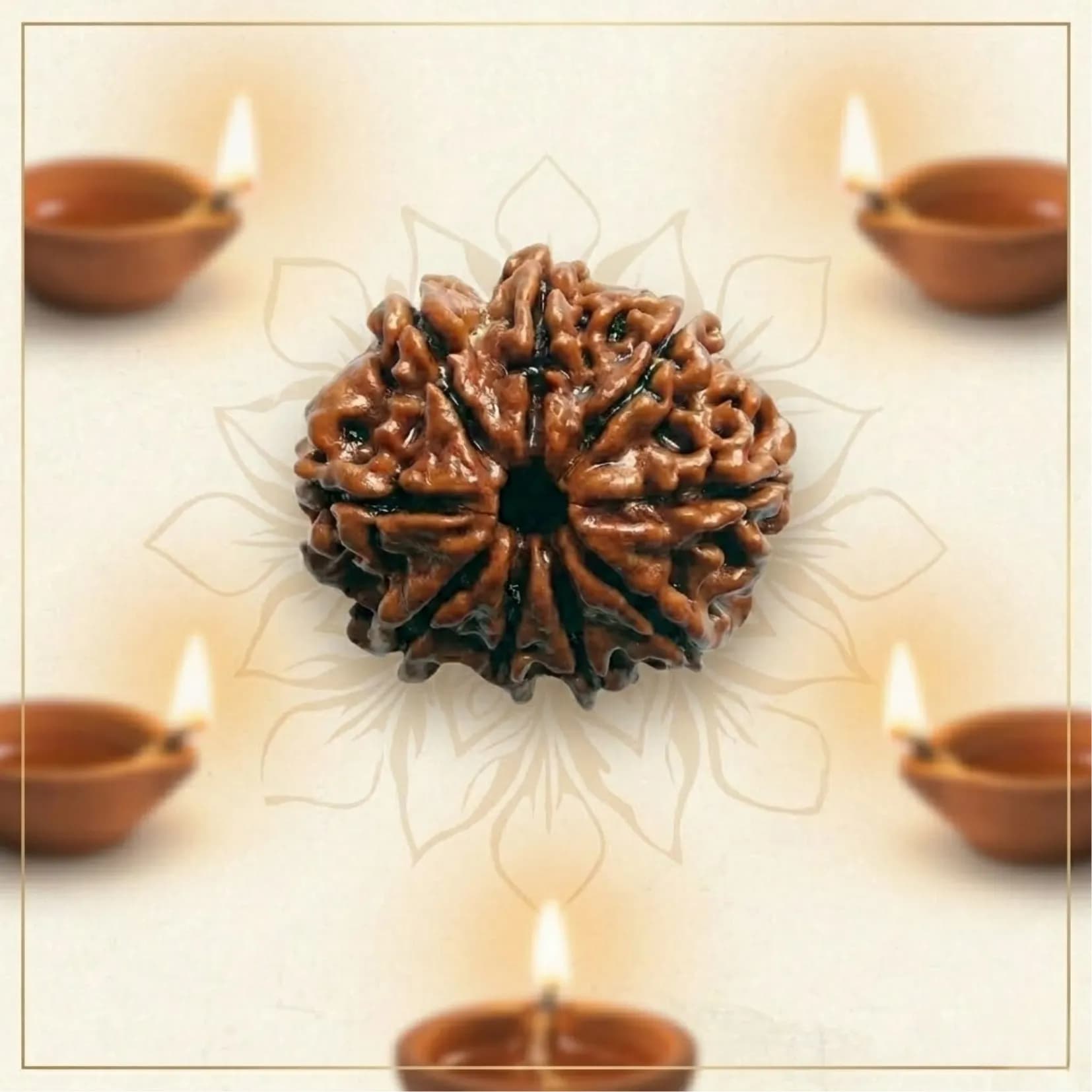 9 Mukhi Rudraksha (Nepali) - View 1