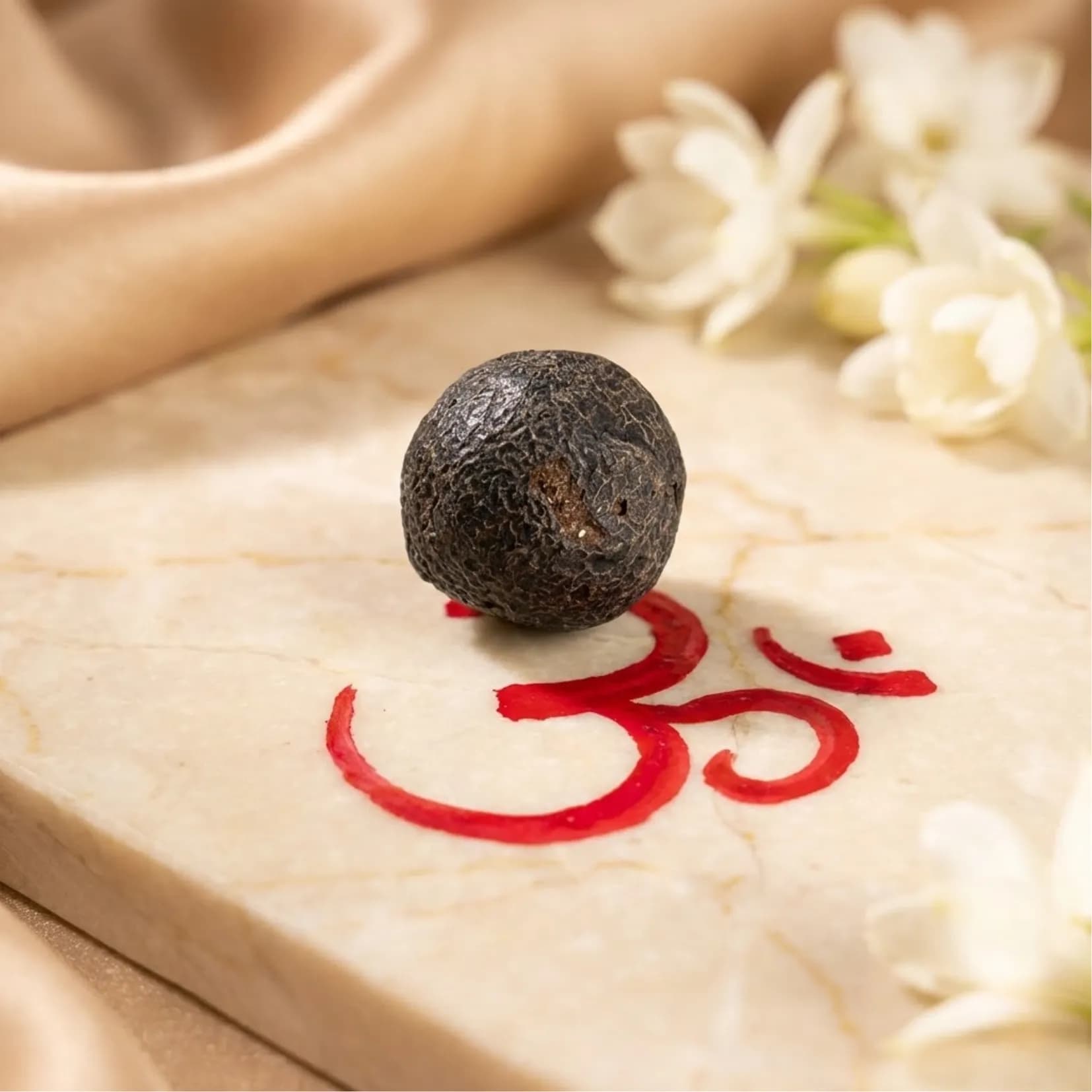 RUDRAKSHA AMRITPHAL