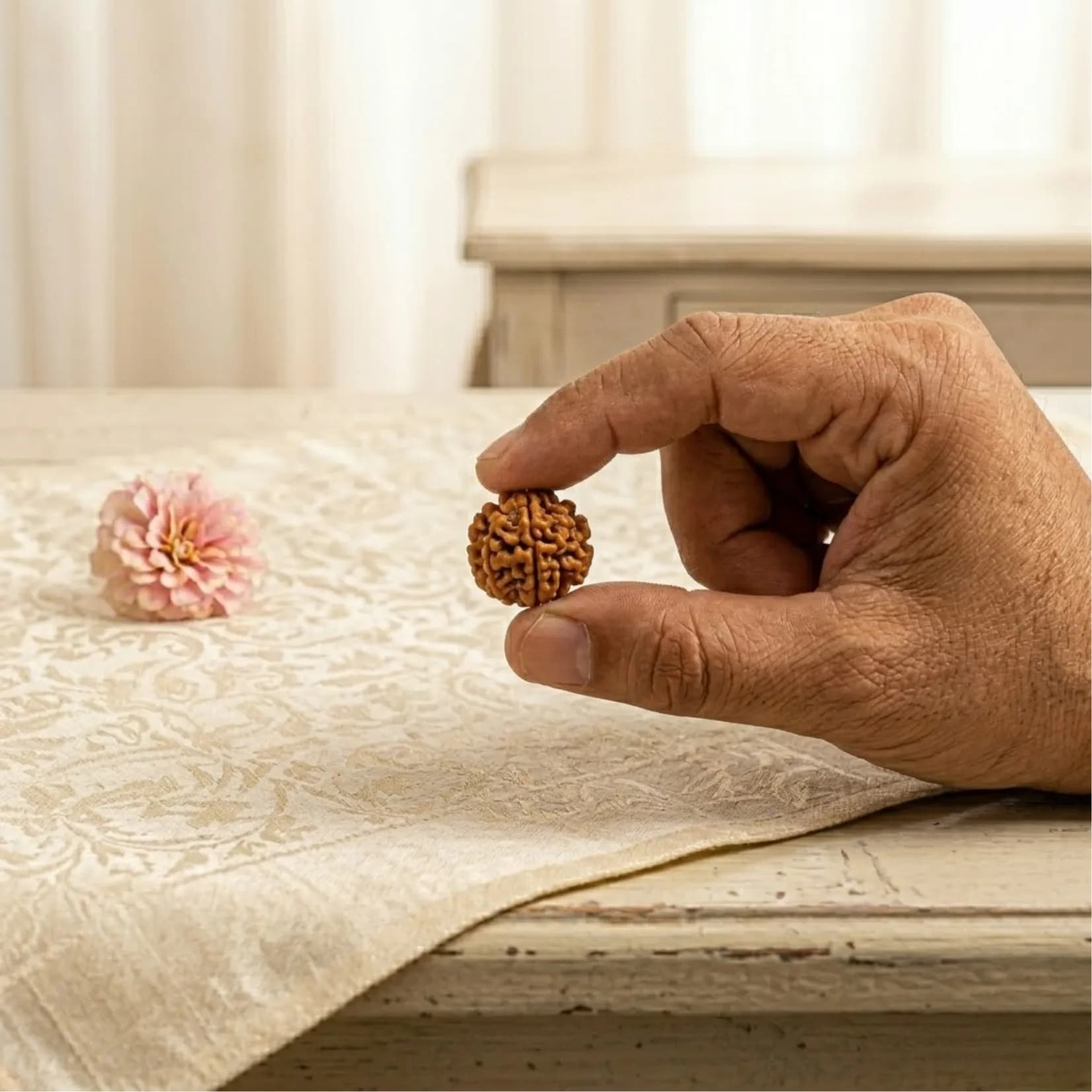 2 Mukhi Rudraksha (Nepali) - View 3