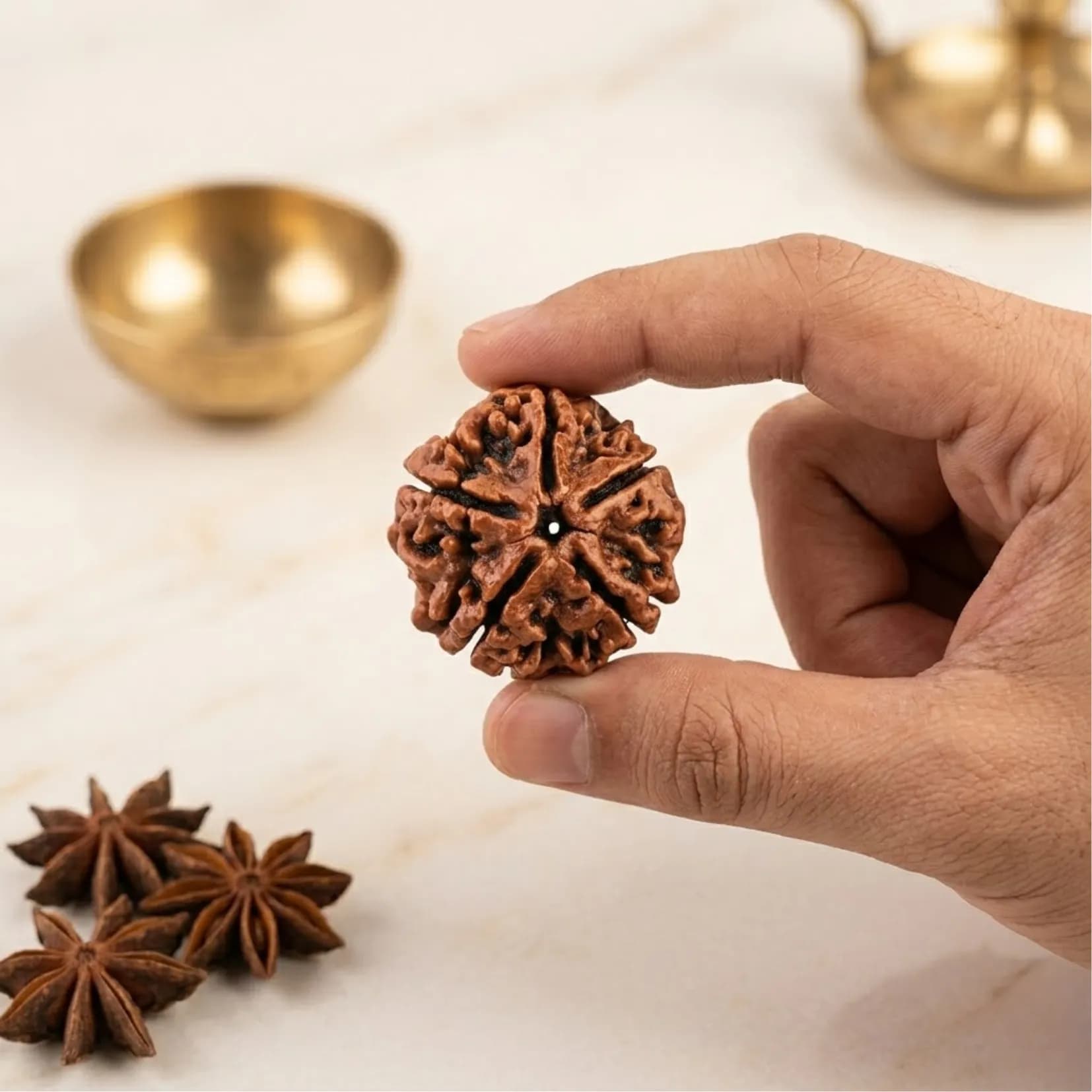 5 Mukhi Rudraksha (Nepali) - View 2