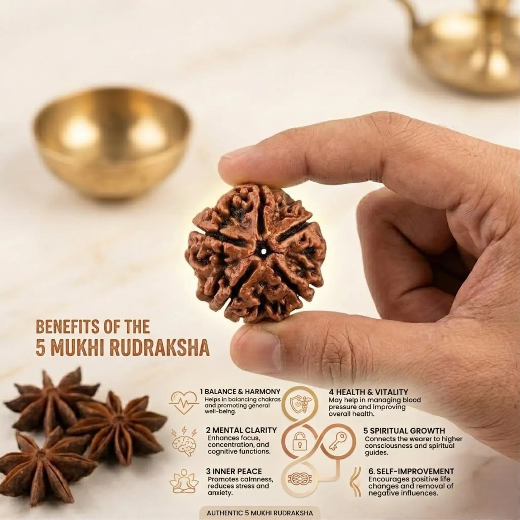 5 Mukhi Rudraksha (Nepali) - View 3
