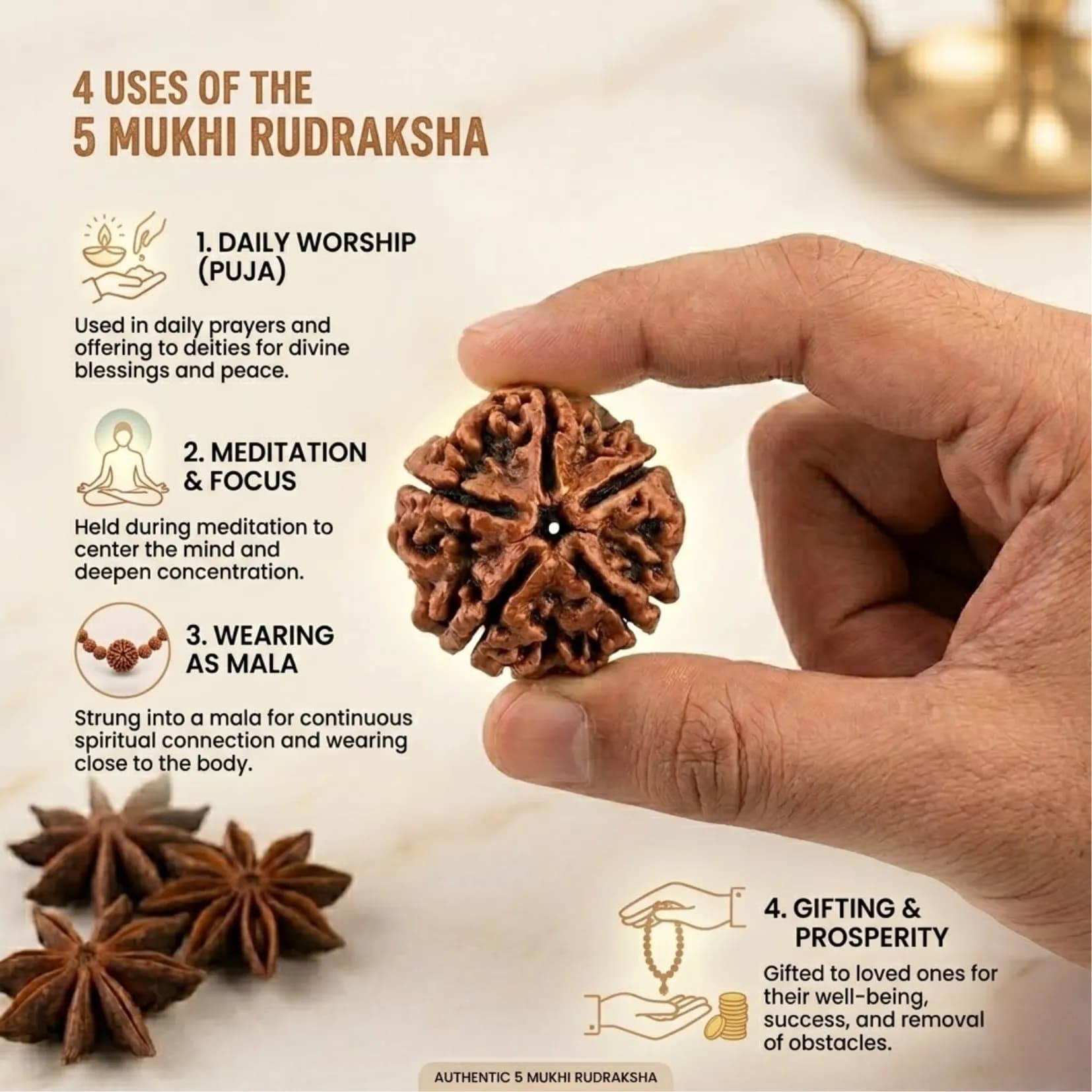 5 Mukhi Rudraksha (Nepali) - View 4