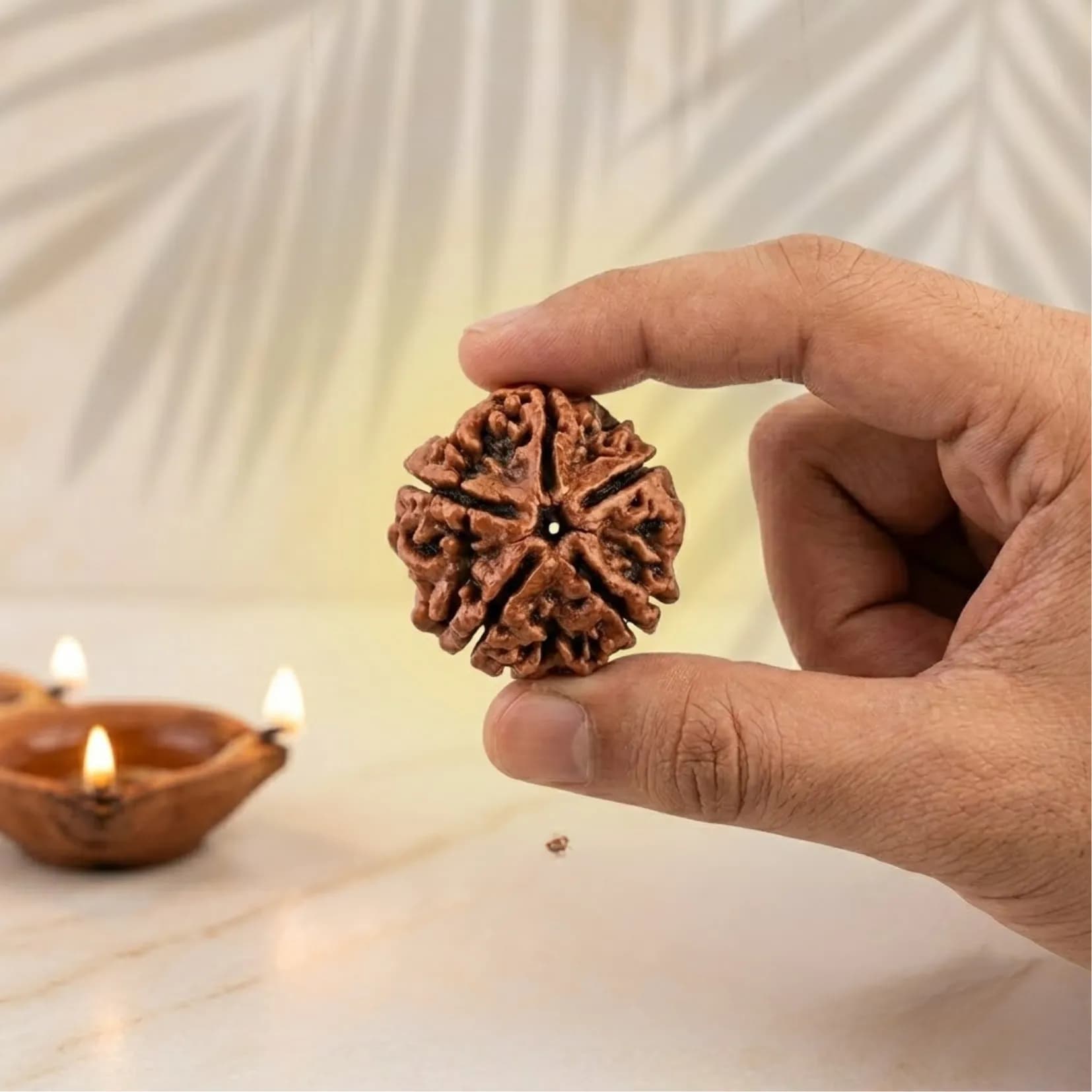 6 Mukhi Rudraksha (Nepali) - View 2